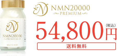 NMN20000プレミアム【内容量】27.9g(310mg×90カプセル)