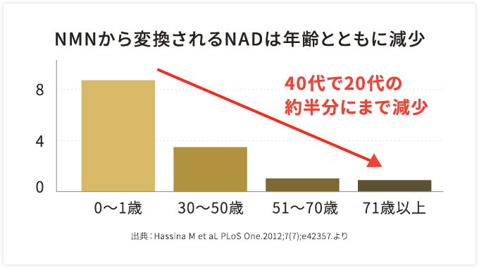 NMNから変換されるNADは年齢とともに減少